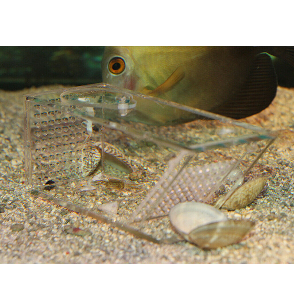 Clear Aquarium   Catcher Bait Box Aquatics Pest Trap Snail Trap, 14x6x6cm