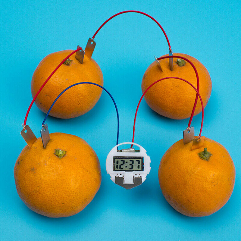 1 Set children bio energy science kit fruit supply electricity experiments .DD