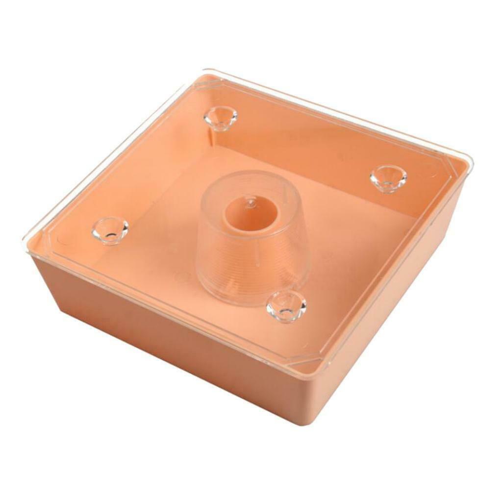 Square 2 Litres Plastic Beehive Top Feeder Bee Water Feeder Pre-assembled