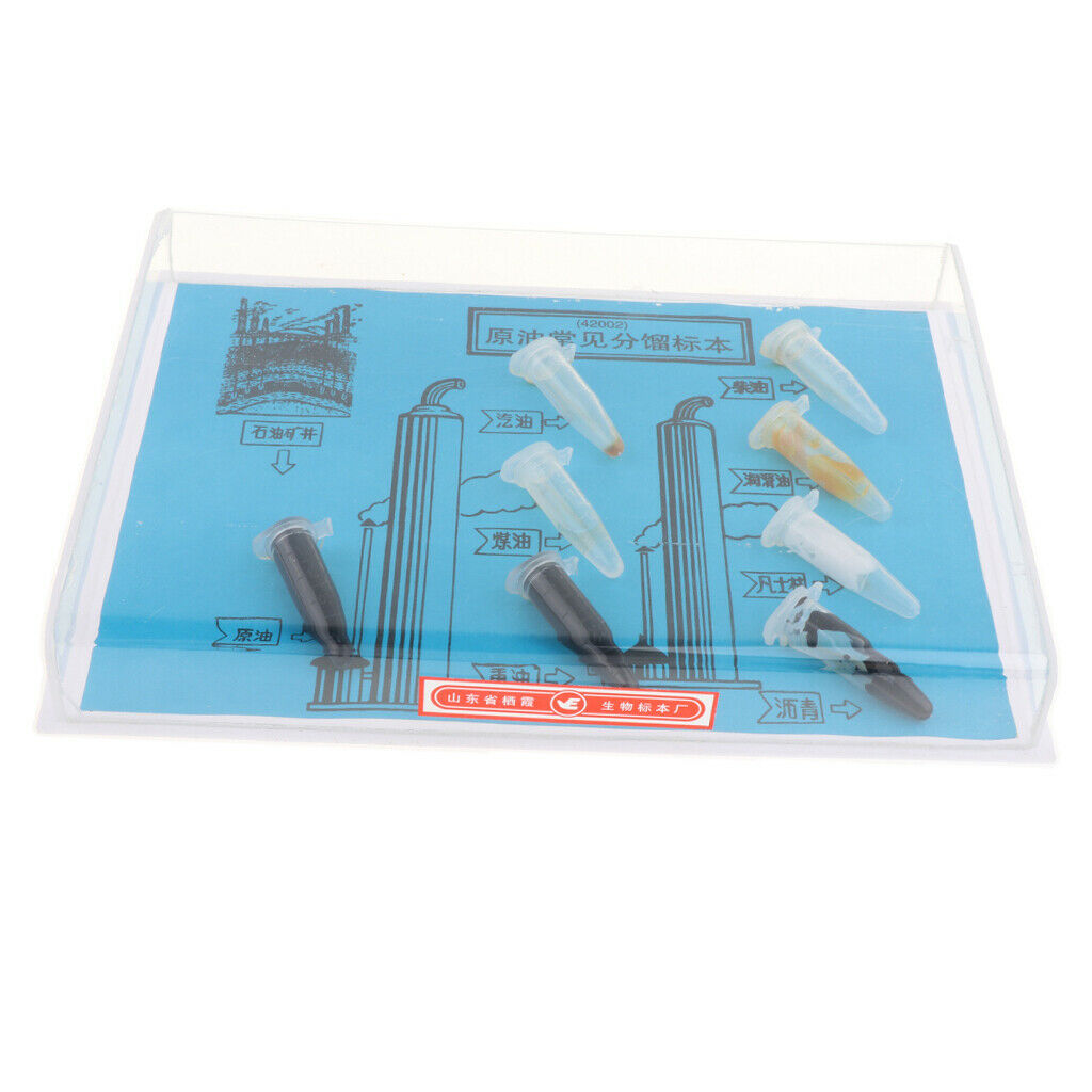 Children Educational School Experience - Oil Specimen