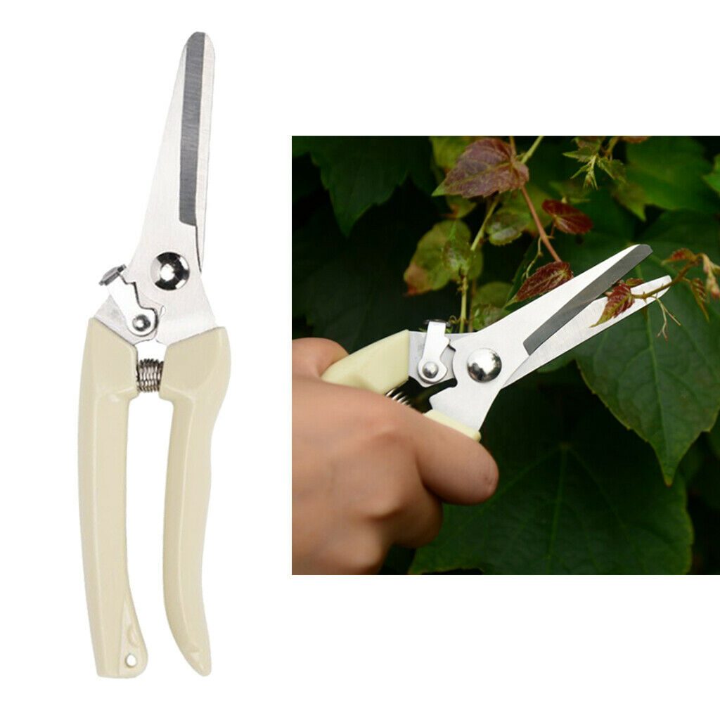 Gardening Bonsai Pruning Pruner Plant Cutter with Anti-slip Handle Cutting