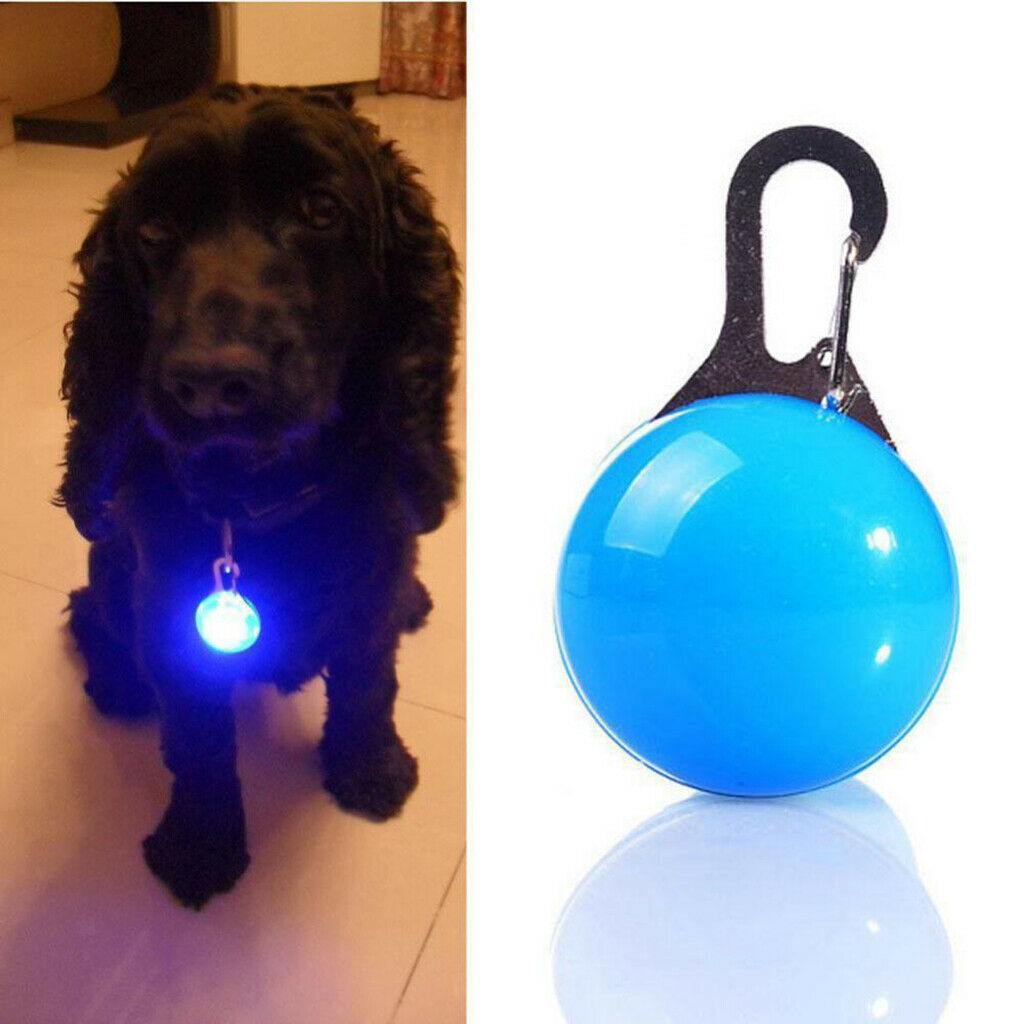 LED Spotlight Dog Flashlight With Nightproof Waterproof Night Light