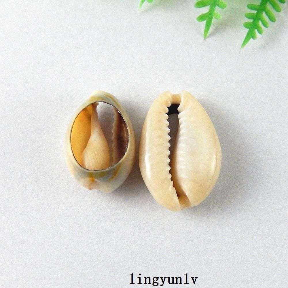 40pcs Mini Natural Shells Sea Conch Ornament Crafts Decorations 16mm-25mm