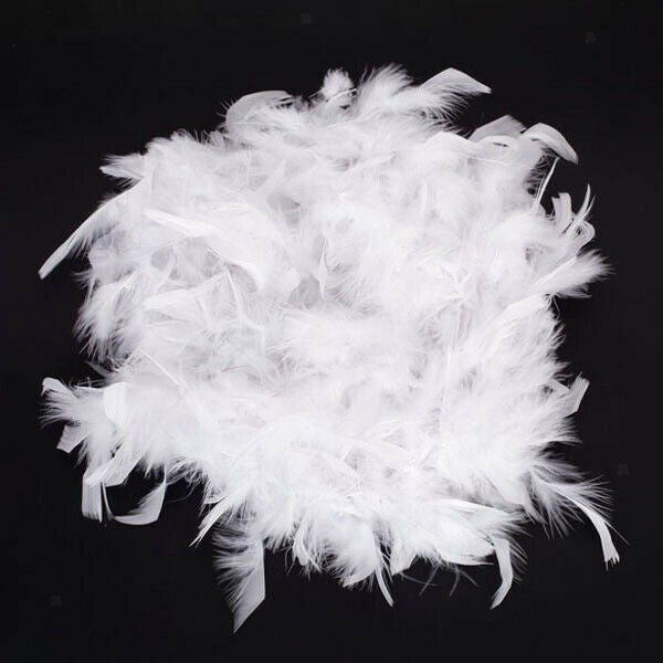 White Feather   Craft Decoration 6.6 Feet Long