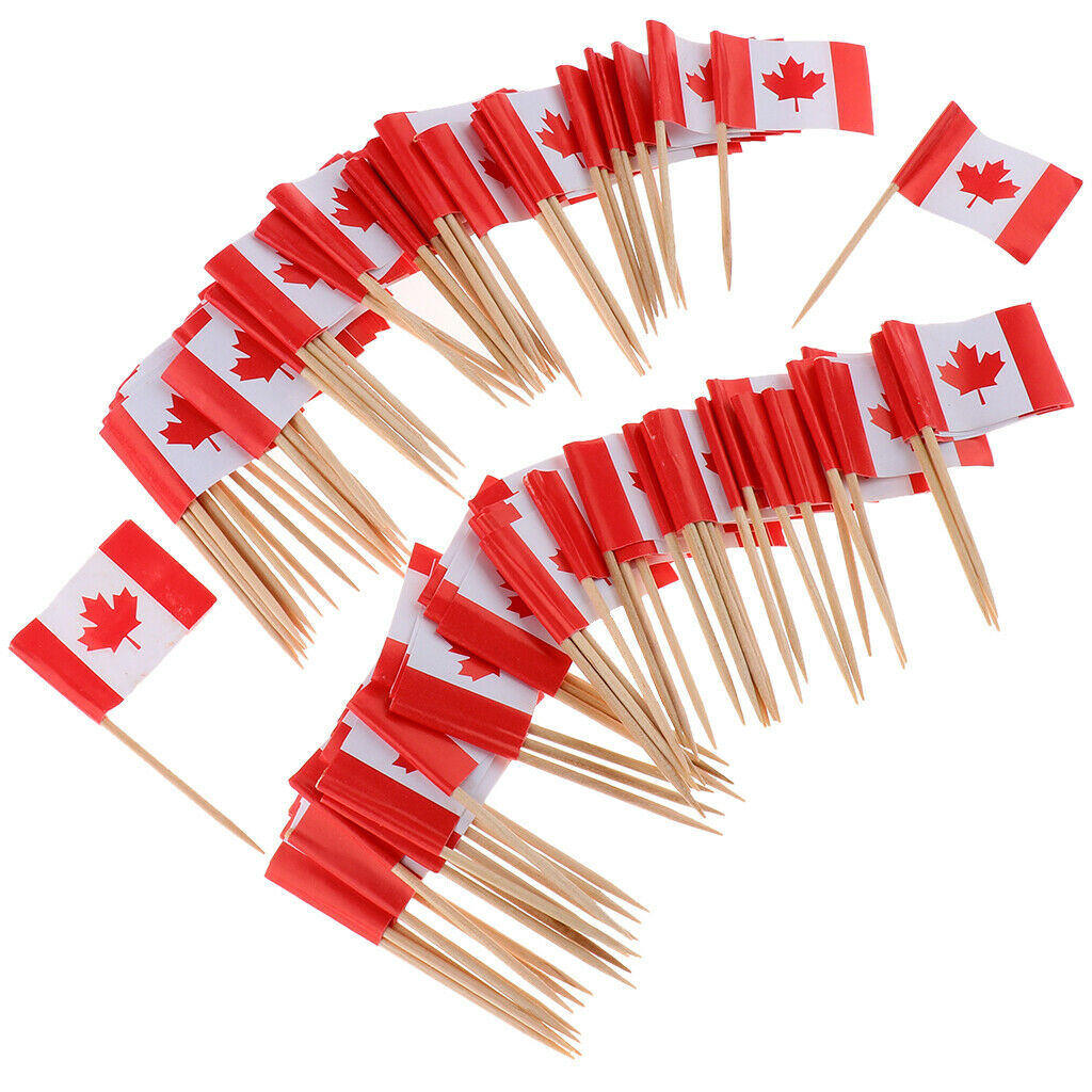 100 x Wedding Creative Flag Toothpicks Cocktail Decor Bar Sports- Canada