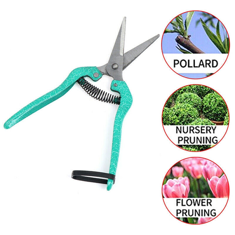 Garden Pruning Shears Fruit Picking Scissors Potted Trim Weed Branches Sciss Qx