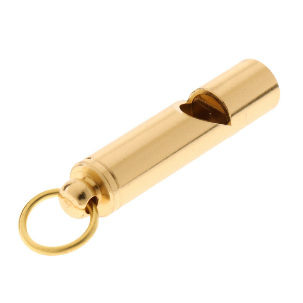 Professional Dog Whistle for Bark Control and Obedience Training Outdoor- Train