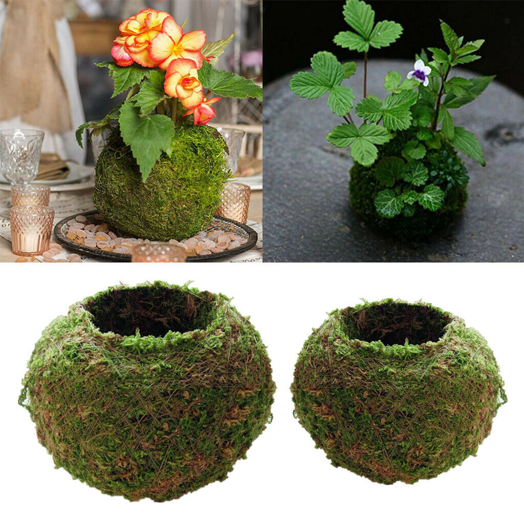 2 Piece Moss Ball Shape Flower Vase Flower Pot, Creative DIY Gardening Potted