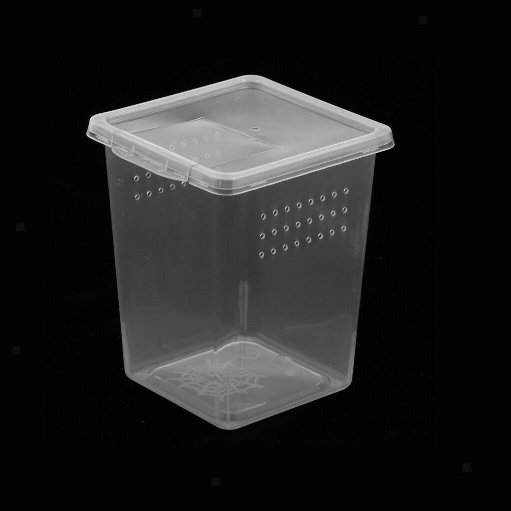 Clear Plastic Insect Spider Habitat Feeding Box Cage Container Tank 8x8x11cm