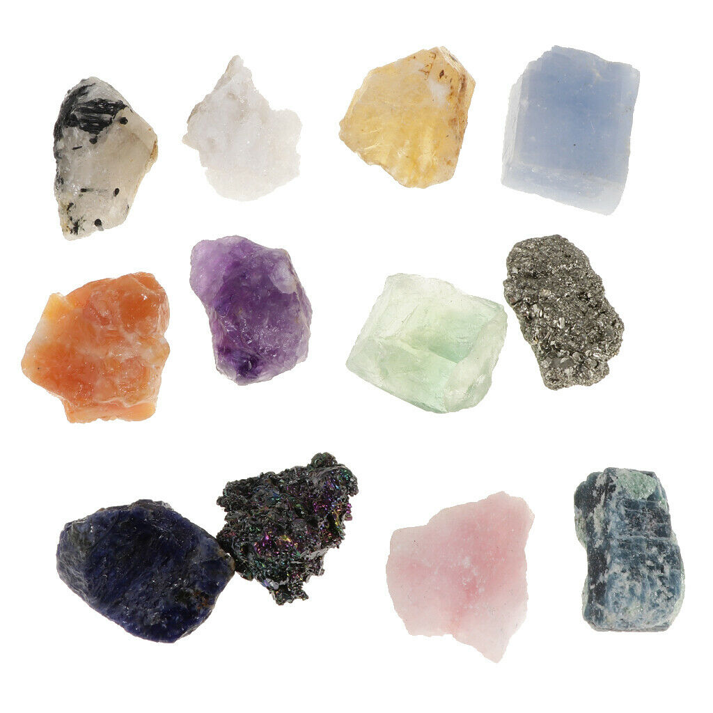 Rock and Mineral Earth Science School Teaching Display Collection Gift