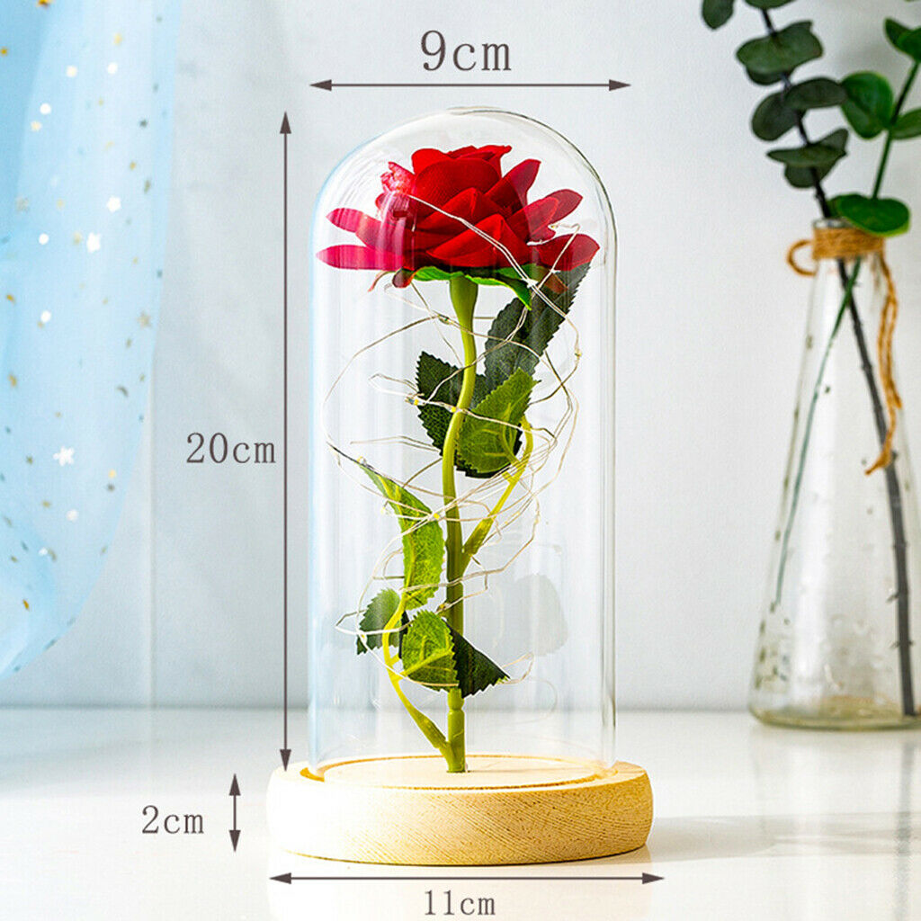 LED Eternal Rose Preserved Glass Dome Valentine's Day Fresh Roses Christmas