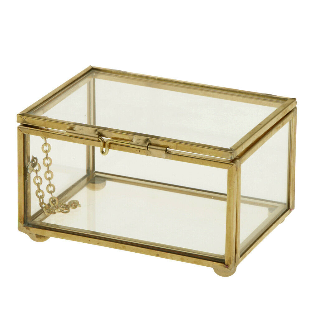 Geometric Terrarium Clear Jewelry Case Succulent Plants Container 10x7x6cm
