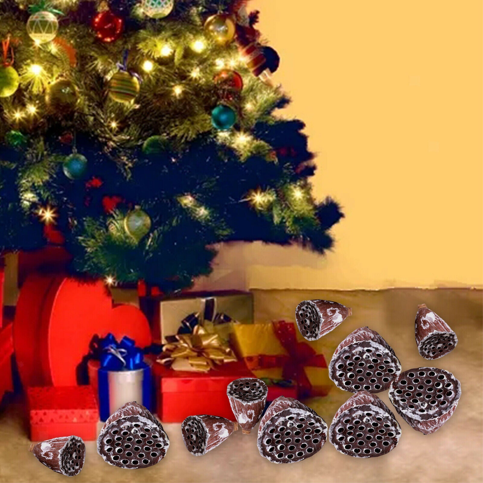 10x Lotus Pod Heads Craft Natural Christmas Wreath Wedding Decor Photo Props