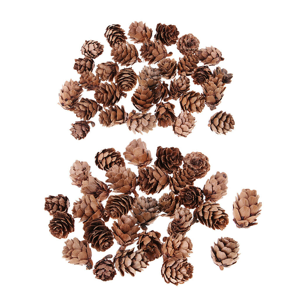 60x Mini Natural Dried Pine Cone Home Accents Ornament Christmas Decoration