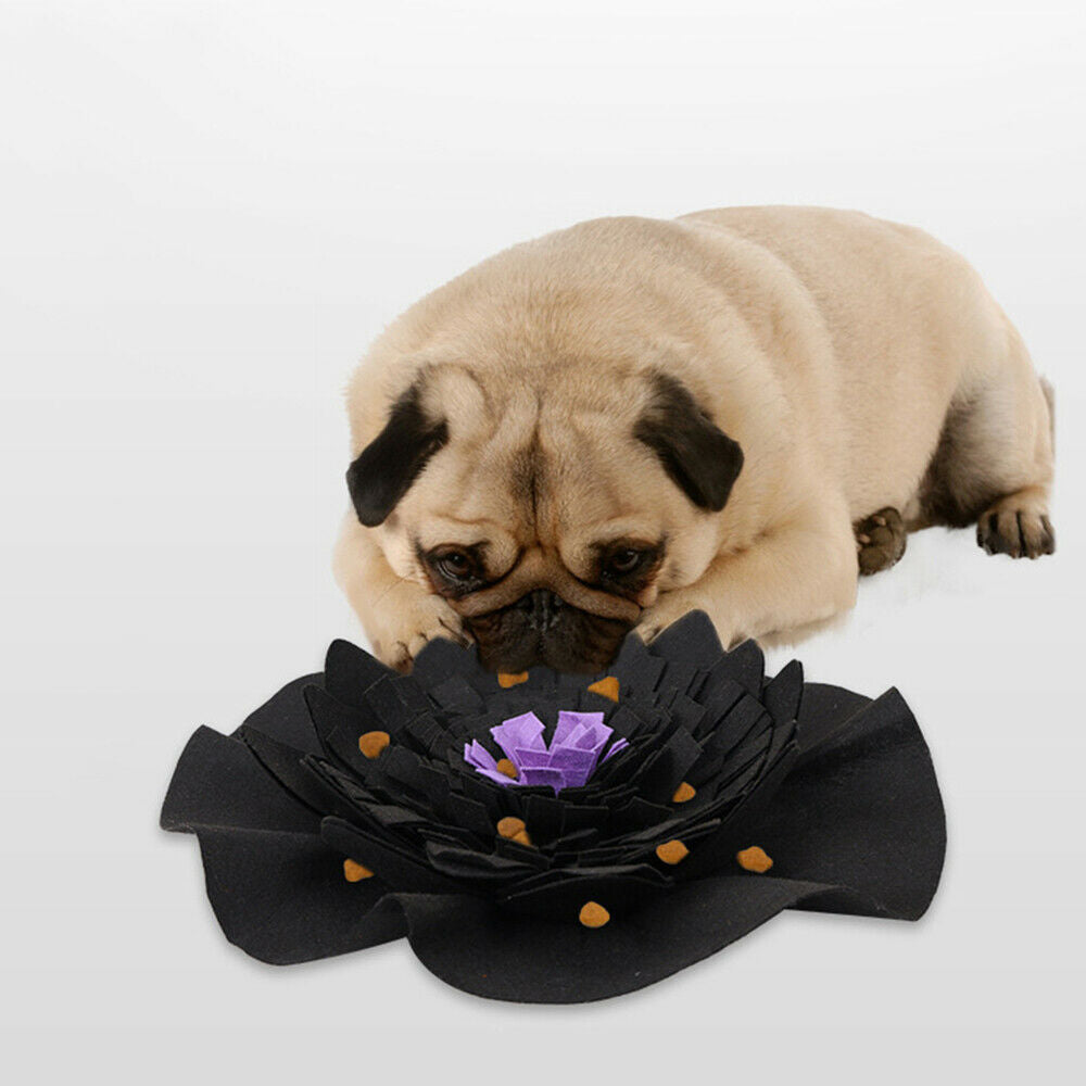 Pet Puzzle Toys Dog Cat Nosework Feeding Mat Bowl Slow Feeder Interactive Game