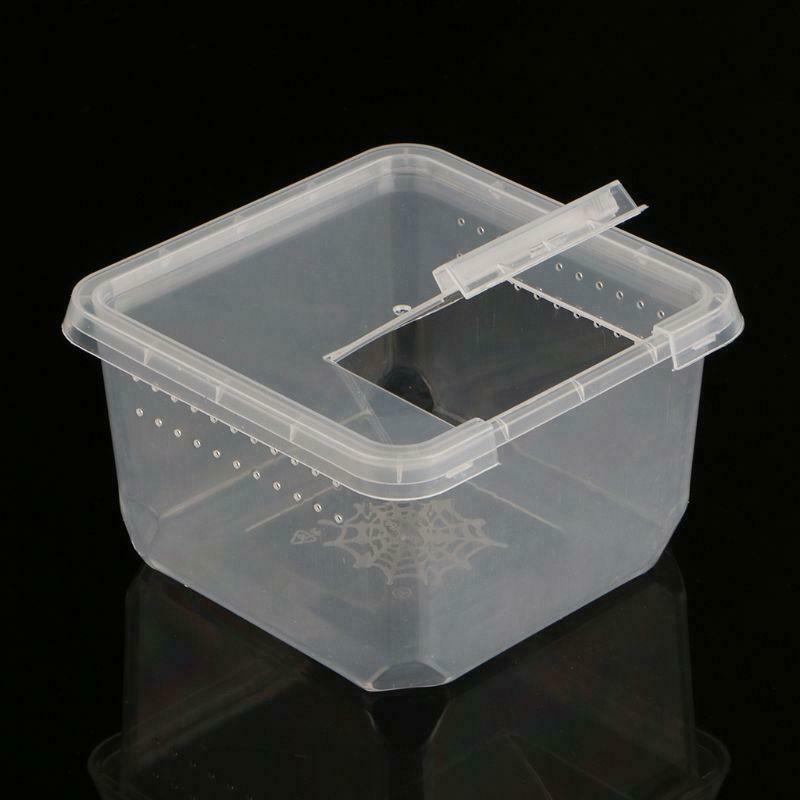 Reptile Terrarium Feeder Breeding Box Tortoise Spider Lizard Beetle Insect House