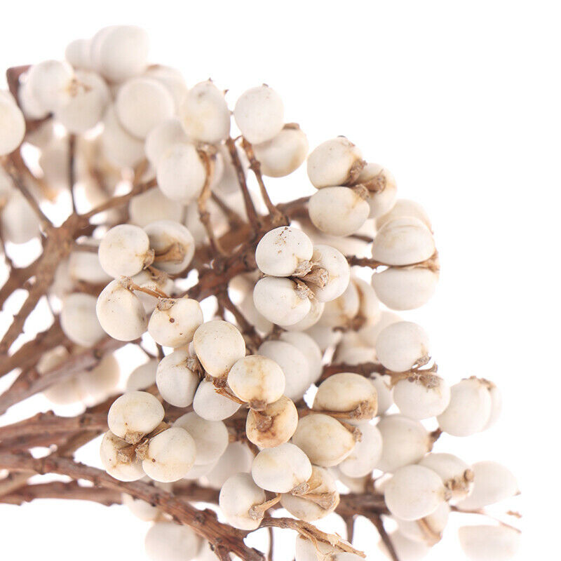 Natural Cotton Balls Ginkgo Dired Flowor Diy Artificial Party Home Decor .l8