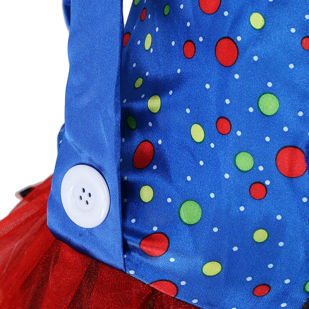 Funny Circus Clown Costume Princess Fancy