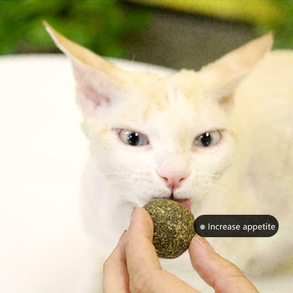 Cat Snack Catnip Ball Lick Nutrition Ball Molar Cleaning AU Cat Snacks