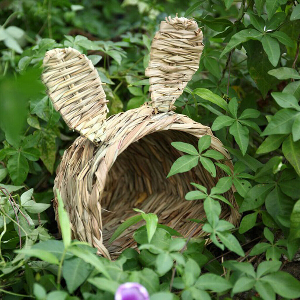 Natural Bird Nest Aviary for Parrot Budgie Cockatiels Cockatoo Macaw Finch
