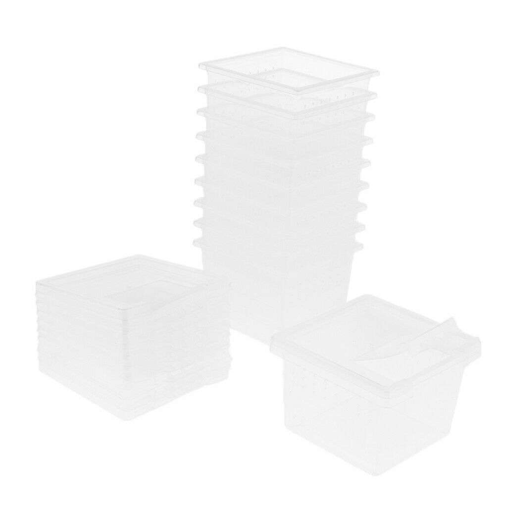 Set of 40 Clear Pet Reptile Spider Breeding Feeding Box Hatching Container
