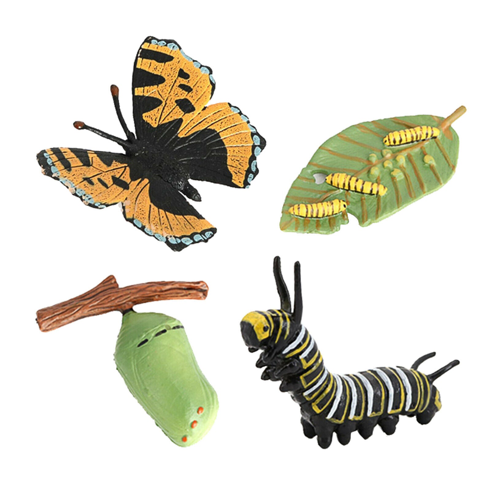 Meticulously Designed Ladybug Butterfly Lifecycle Figures， Educational