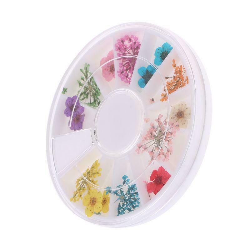 Real Nail Dried Flowers Nail Art Decoration DIY Tips Case Small Flowers Nails