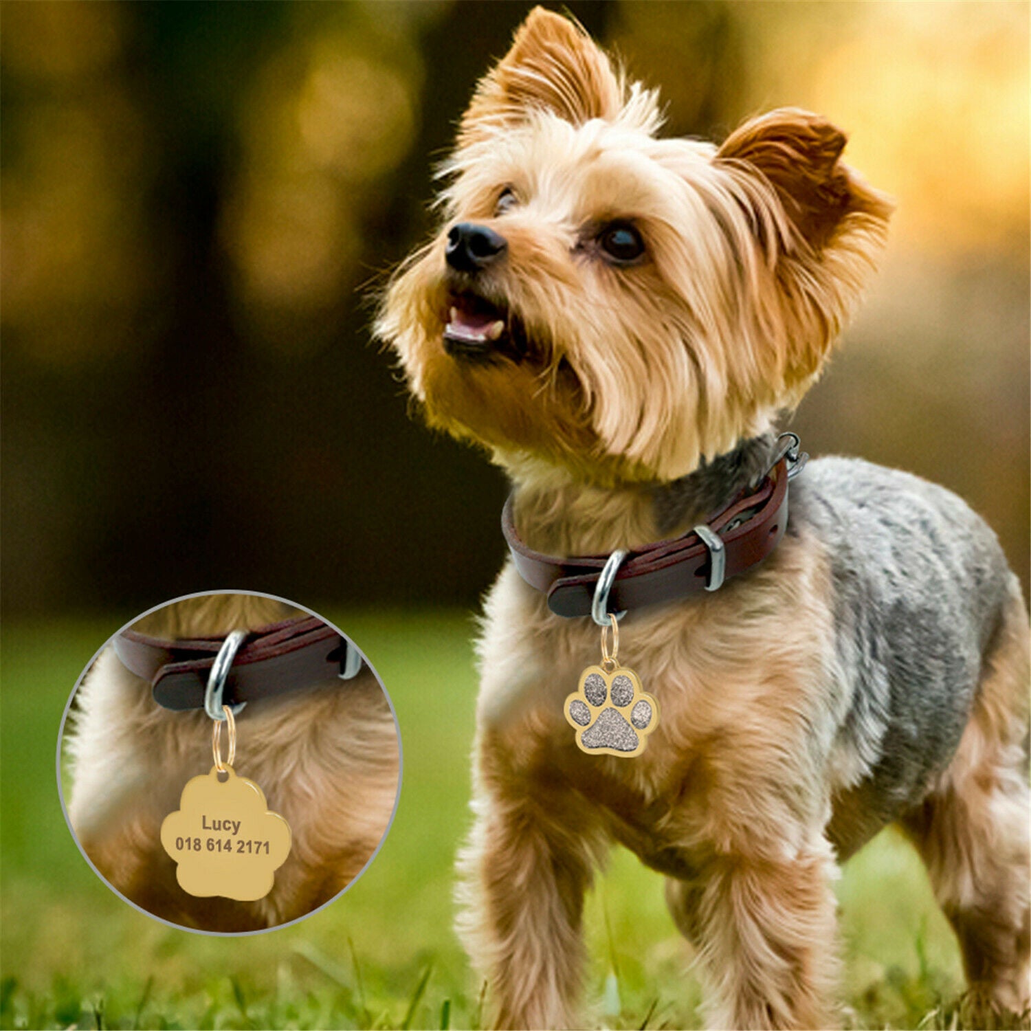 New Cat Footprint Puppy Pendant Pet ID Tag Dogs Name Tags Dog Collar