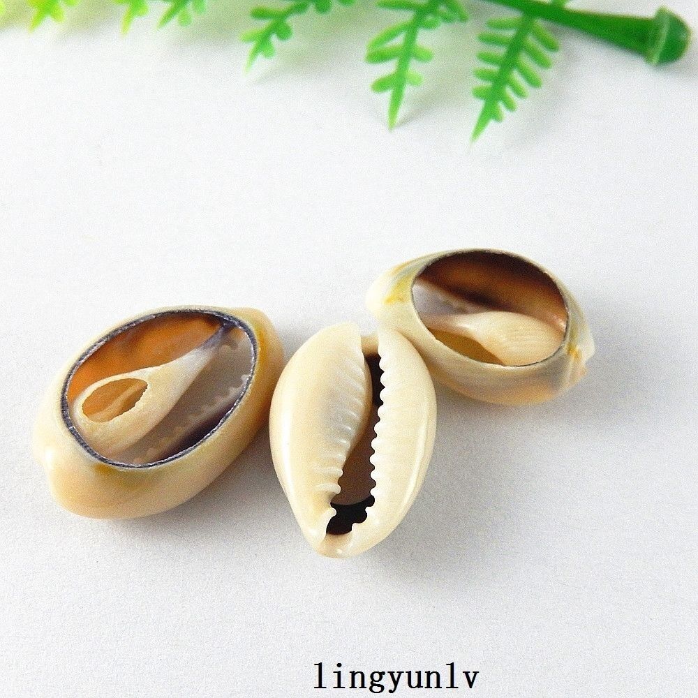 40pcs Mini Natural Shells Sea Conch Ornament Crafts Decorations 16mm-25mm