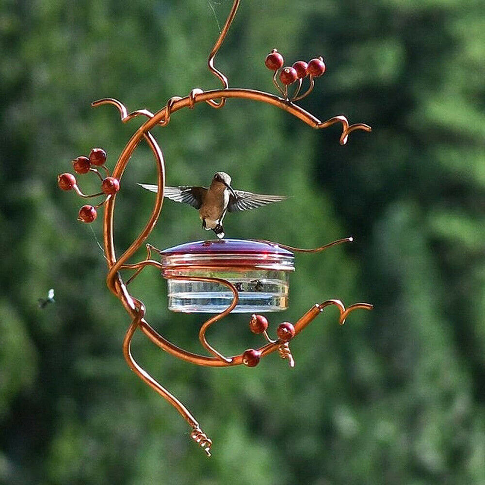 Red Berries Hummingbird Feeder Outdoor Hanging Garden Window Bird Feeder Craft