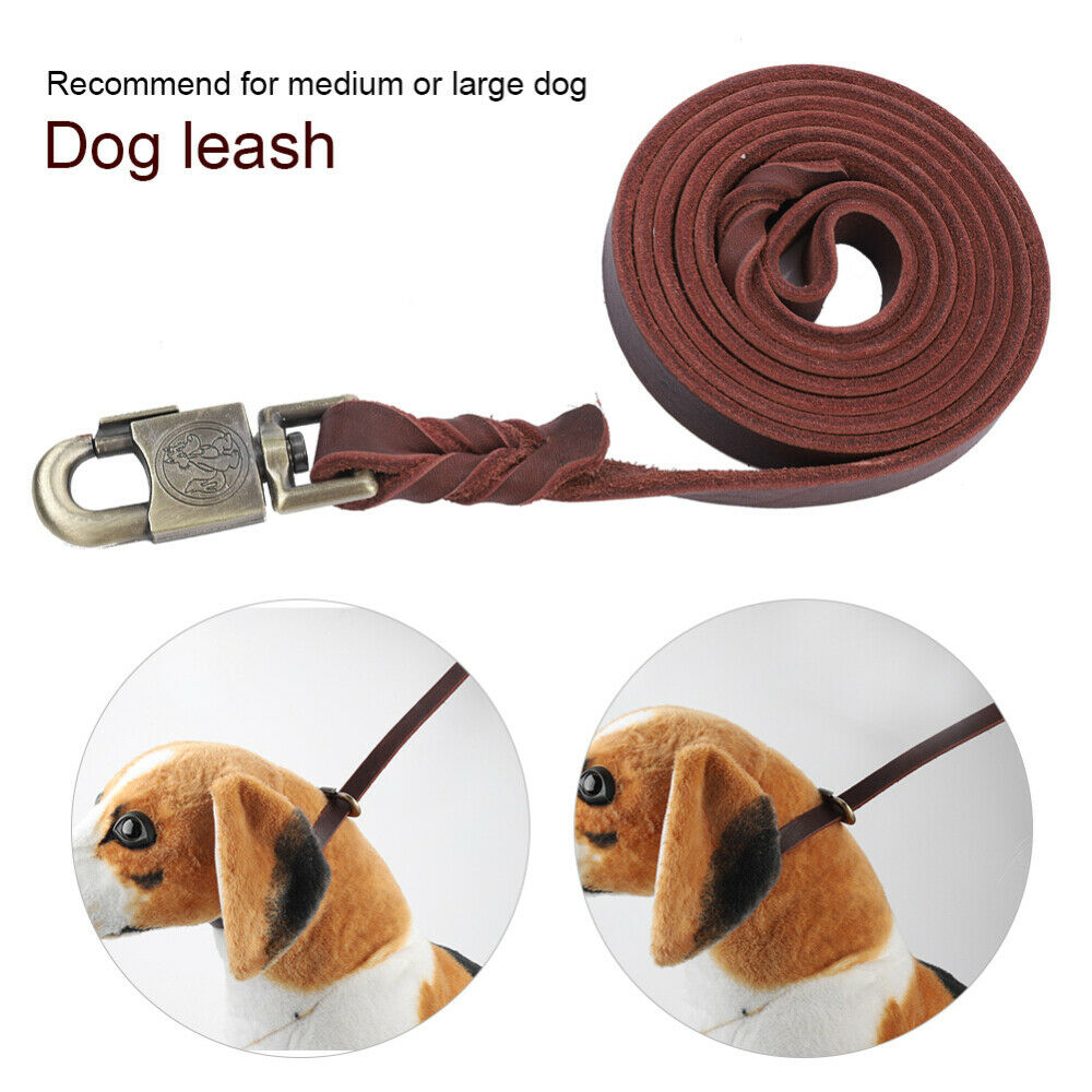 Durable Dog Training Leash Stylish Dog Strap for Medium Dogs for Large Dogs
