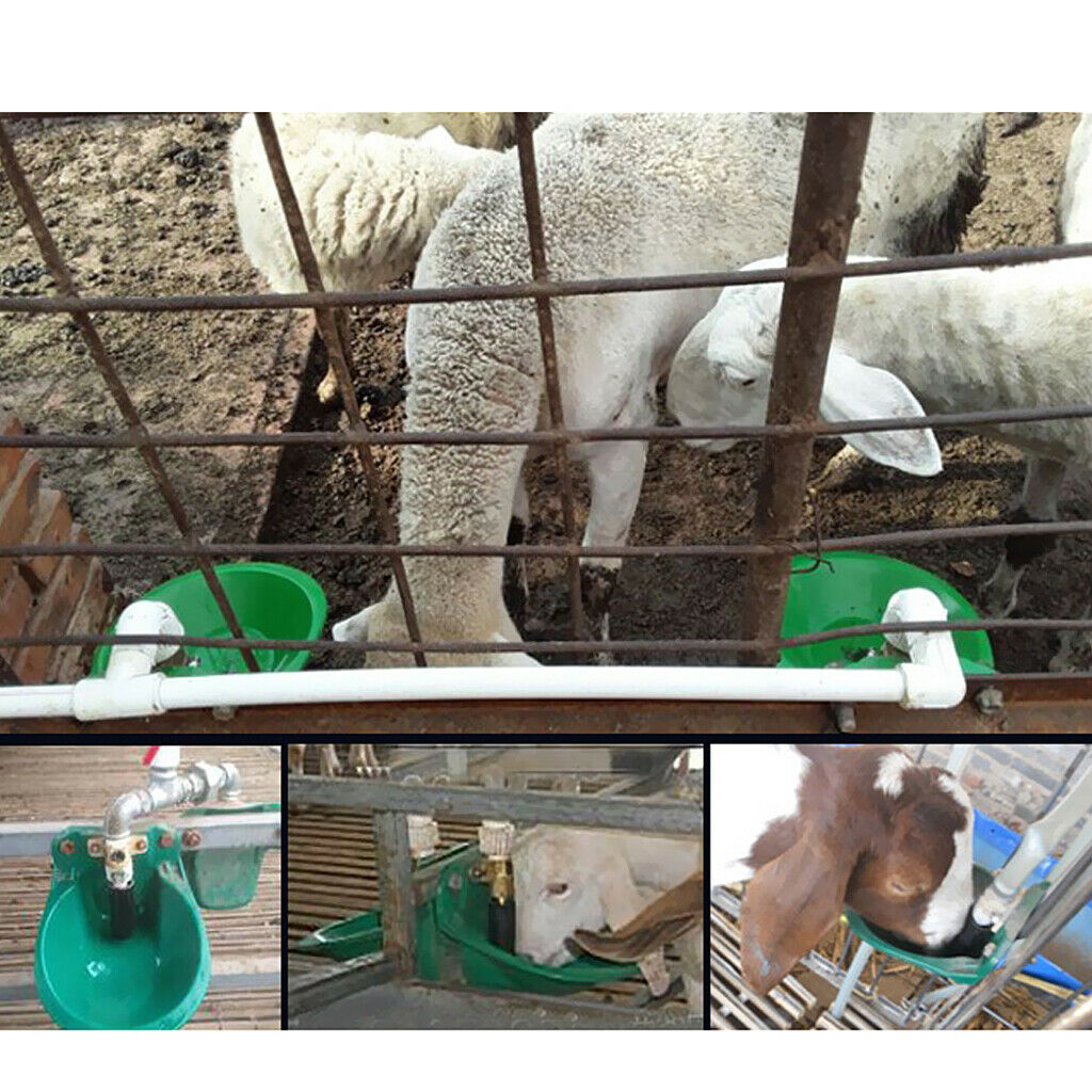 3 Packs Automatic Water Dispenser Waterer Bowl for Sheep Goat Cattle Calves