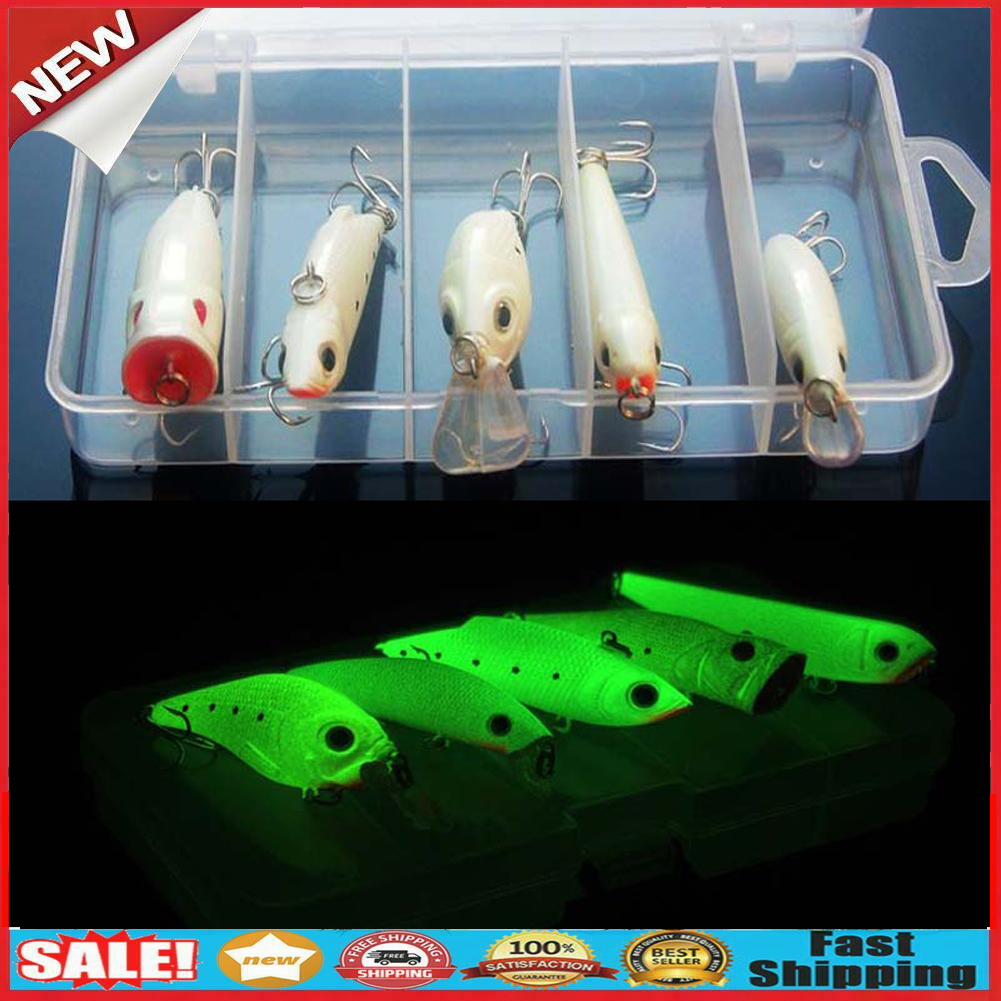 Night Fishing Bait Kit Luminous VIB Popper Crank Minnow Pencil Glow Lure  @