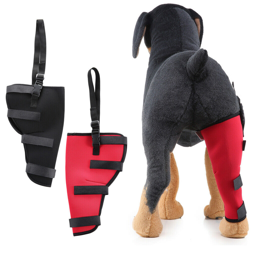 2 Pieces Pet Auxiliary Belt Dog Protective Joints Protector for Dog Puppy Dog -
