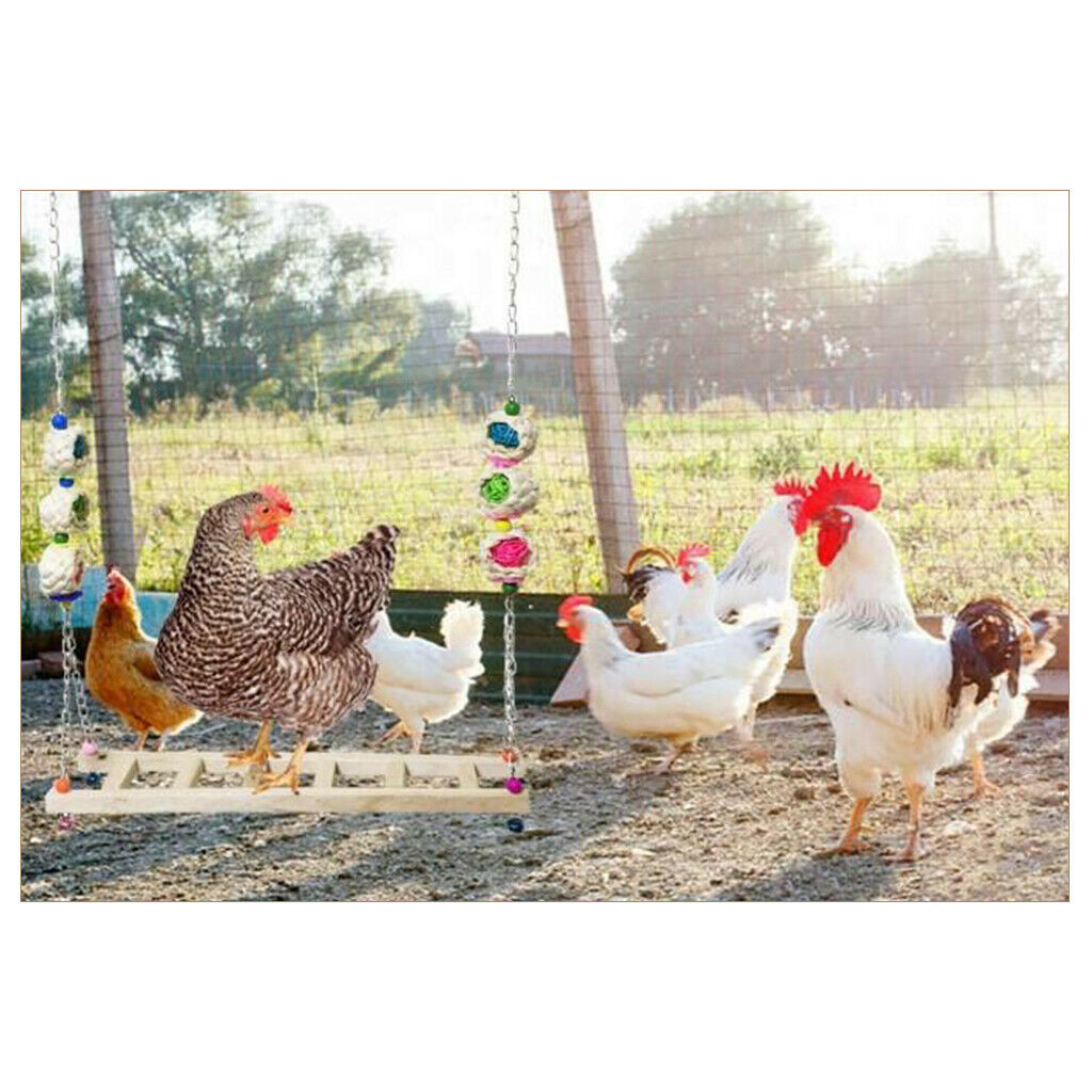 Chicken Swing Wooden Birds Perch Stand Chicken Large Birds Finches Budgie A