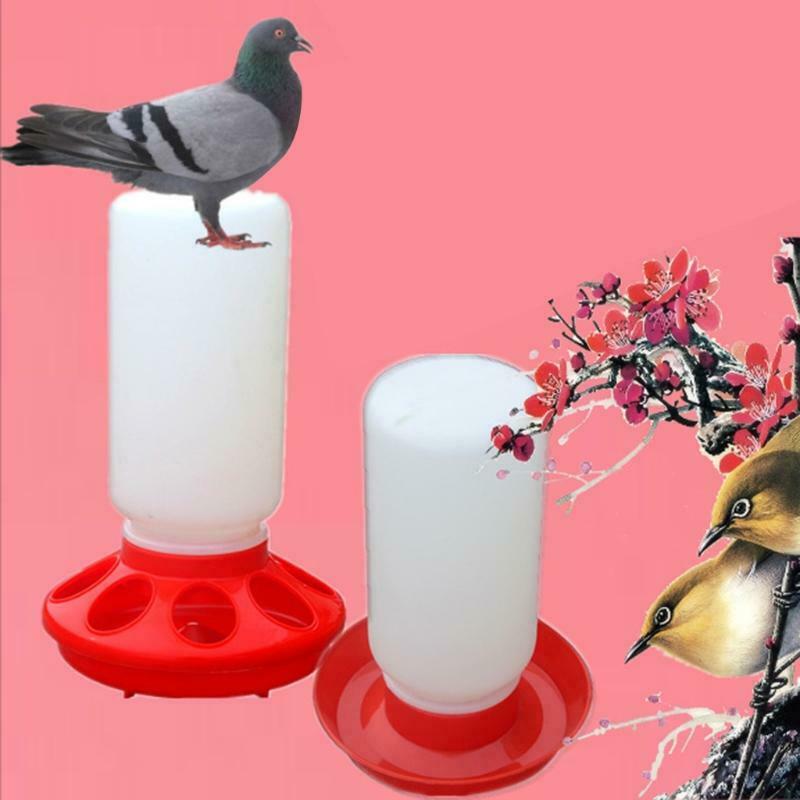 Chick Waterer and Feeder Plastic (1 Quart) Gravity Fed Water Jar White and Red