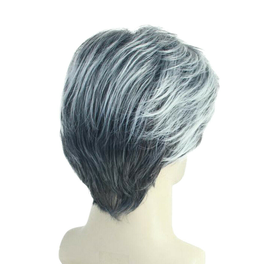 10'' Short Straight Men Grey White Side Part Synthetic Natural Looking with Wig