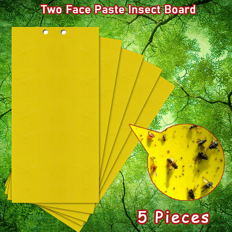 5PCS Fly Trapper Dual-Sided Yellow Sticky Traps Flying Plant Insect stick.l8