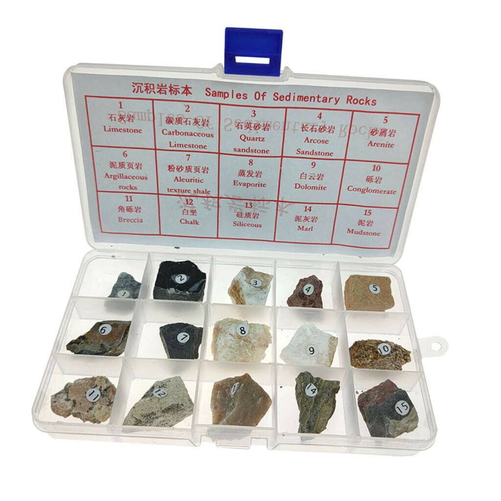 15pcs Sedimentary Rock Specimen Collection Teaching Aid Supplies w/ Box