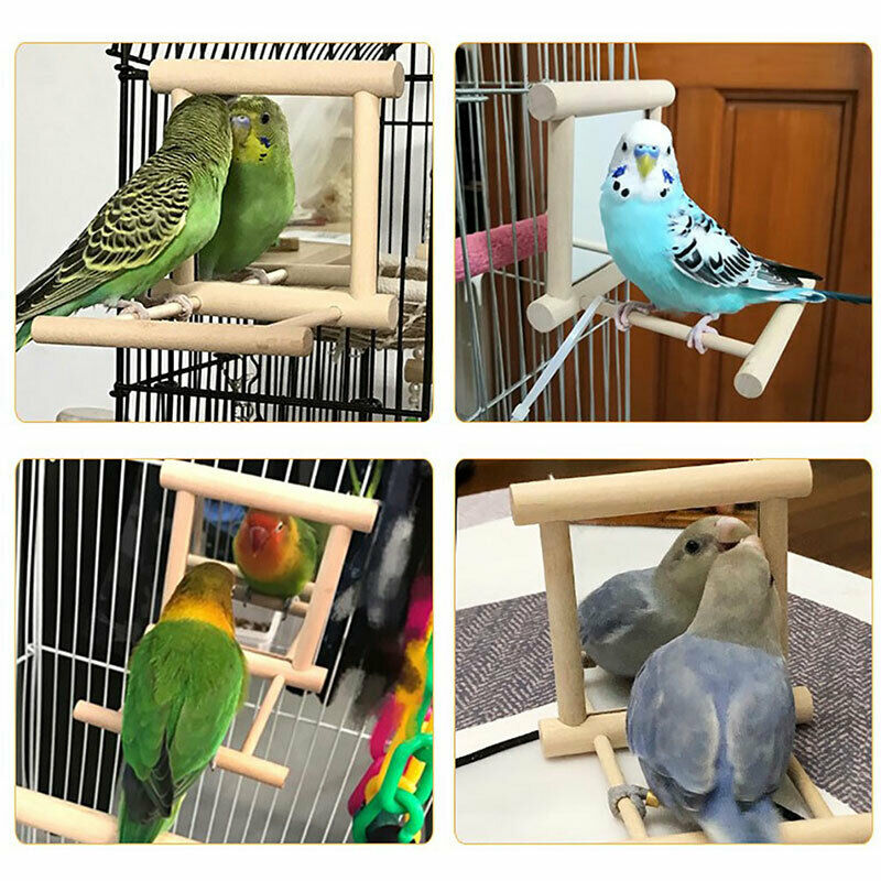 Pets Bird Parakeet Cockatiel Budgie Parrot Hanging Swing Rope Cage Traini.l8