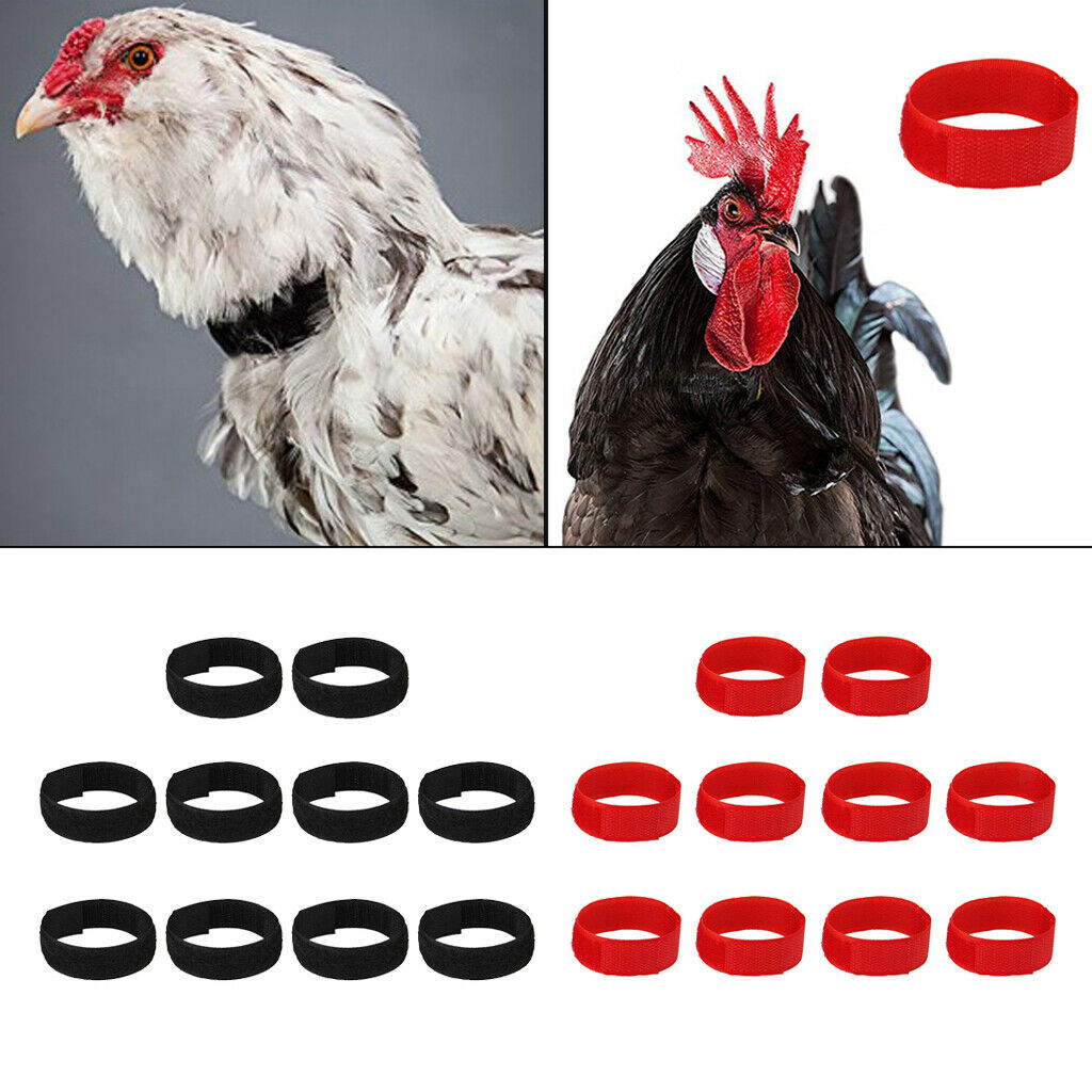 8Pcs Chicken Collar Prevent Rooster from Disturbing Neighbors For Chicken
