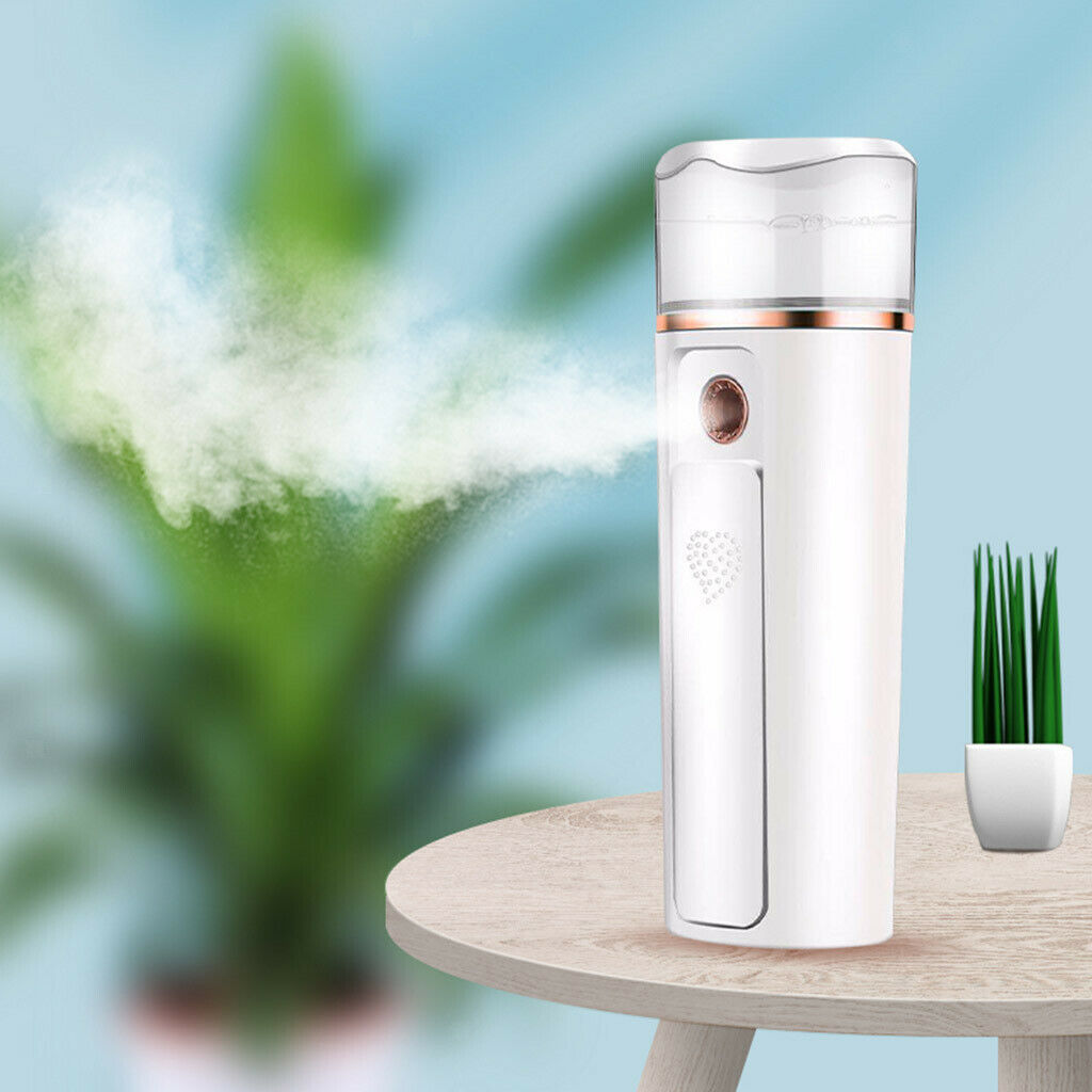 USB Nano Facial Mister Handy Mist Spray Atomization Facial Sprayer as Power Bank