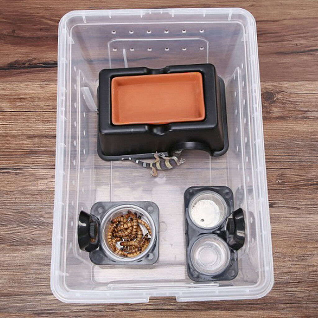2Pcs/Set Reptile Food Bowl,Water Feeder Bowl, Reptile Worm Dish Feeding Dish for