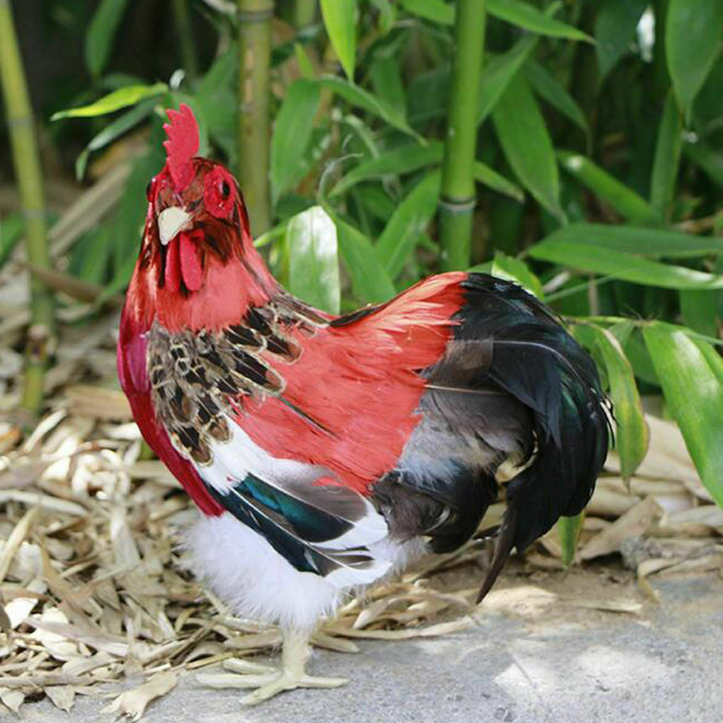 Rooster Chicken Farm Animals Feathers Prop or Decoration, 24x20cm