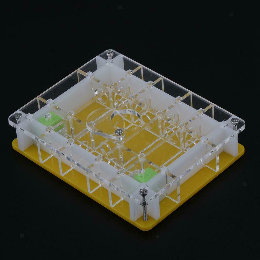 2pcs/set Ant Housing Nest Insect Cage Educational Formicarium for Live Ants