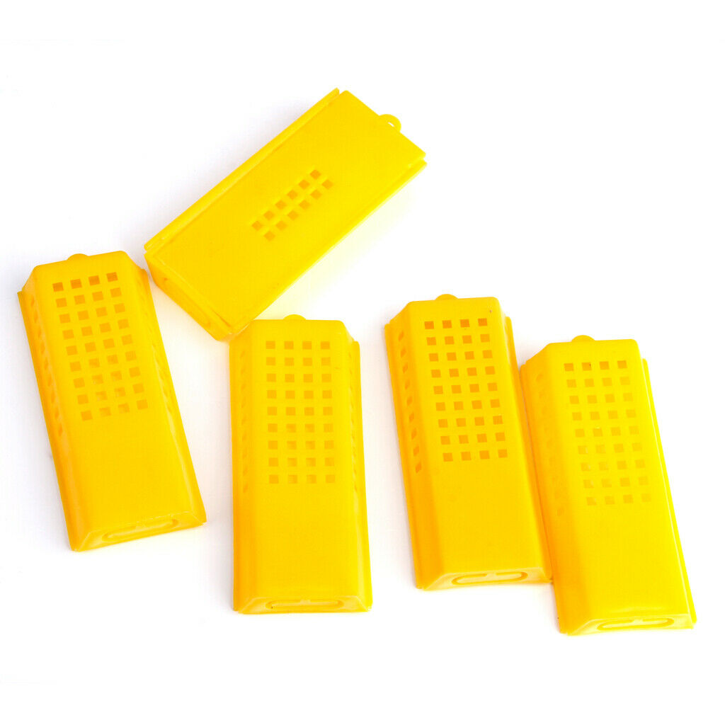 10 Queen Bee Butler Cages with Beekeeping Tools