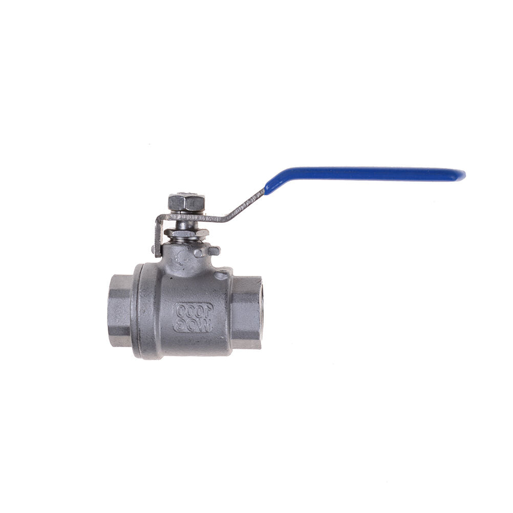 1/2"Female SS 304 New Stainless Steel Full Port Ball Valve Vinyl Handle WOG10 WF