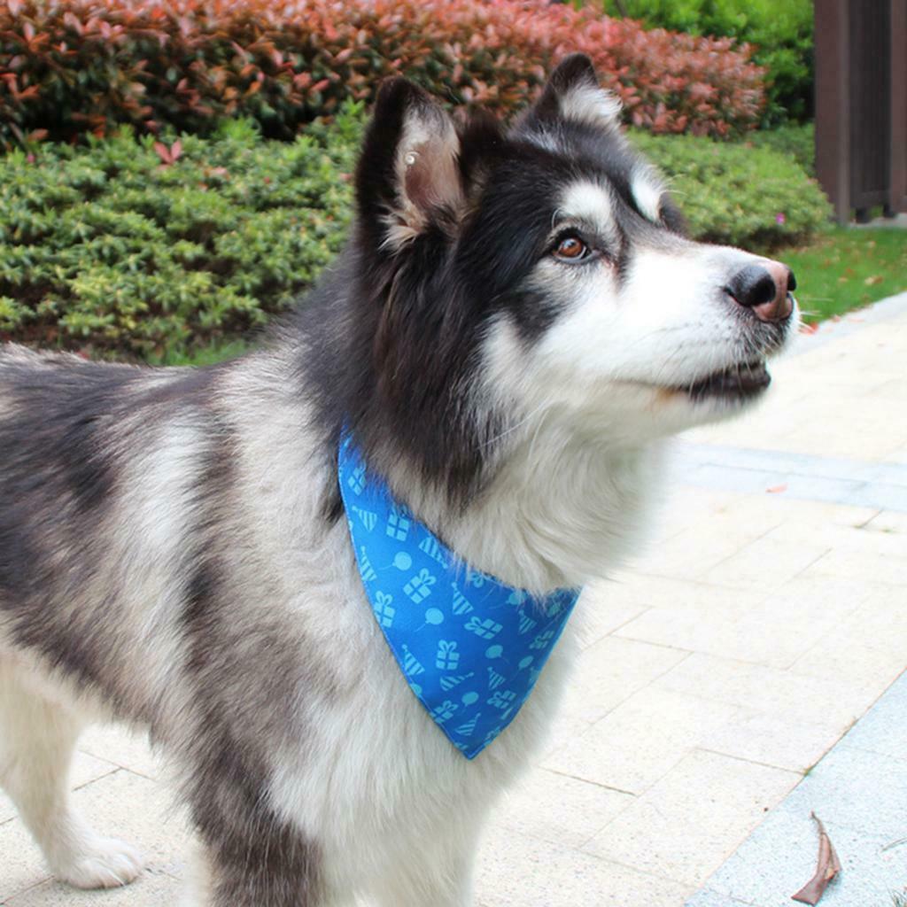 Dog Cat Scarf Cat Dog Decorative Saliva Towel For All Breeds Dog Blue-S
