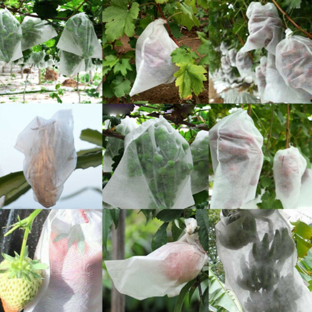 15Pcs Garden Plant Fruit Protect Drawstring Net Bag Against Insect Pest Bird