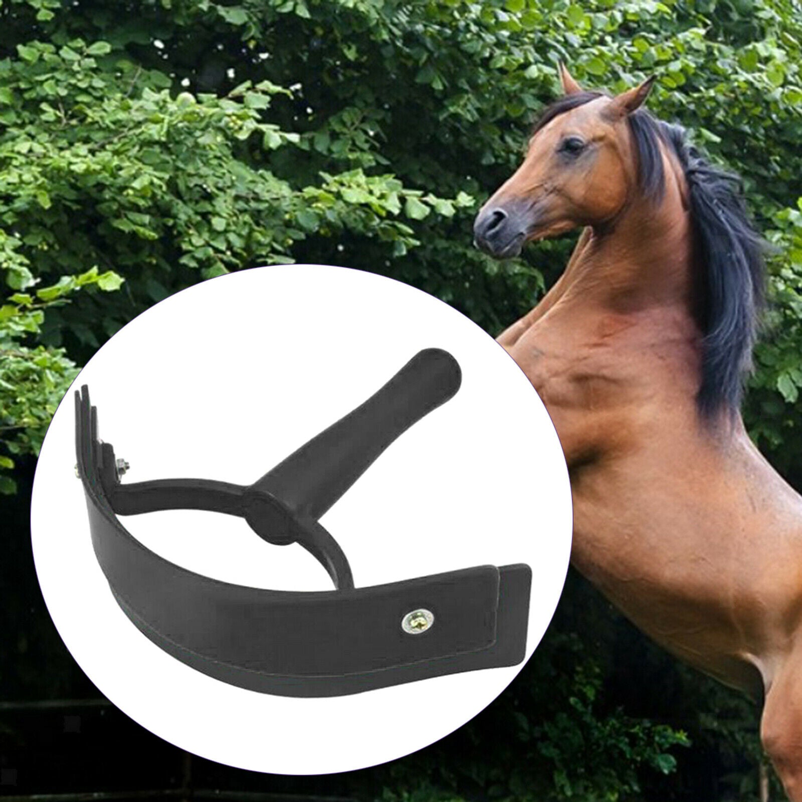 Horse Sweat Scraper Grooming Shaving Animal Equine Brushes Care Tool Equip